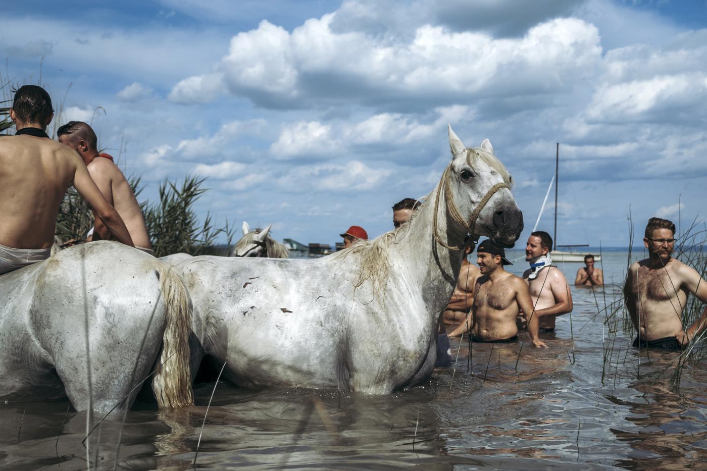 lovak fürdetése